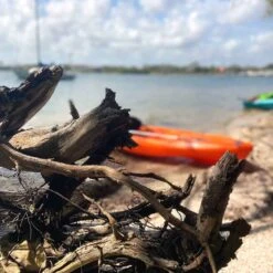 Pelican Sport Pulse 100X With Paddle Kayak -Boating Store KOS10P102 00 LS4